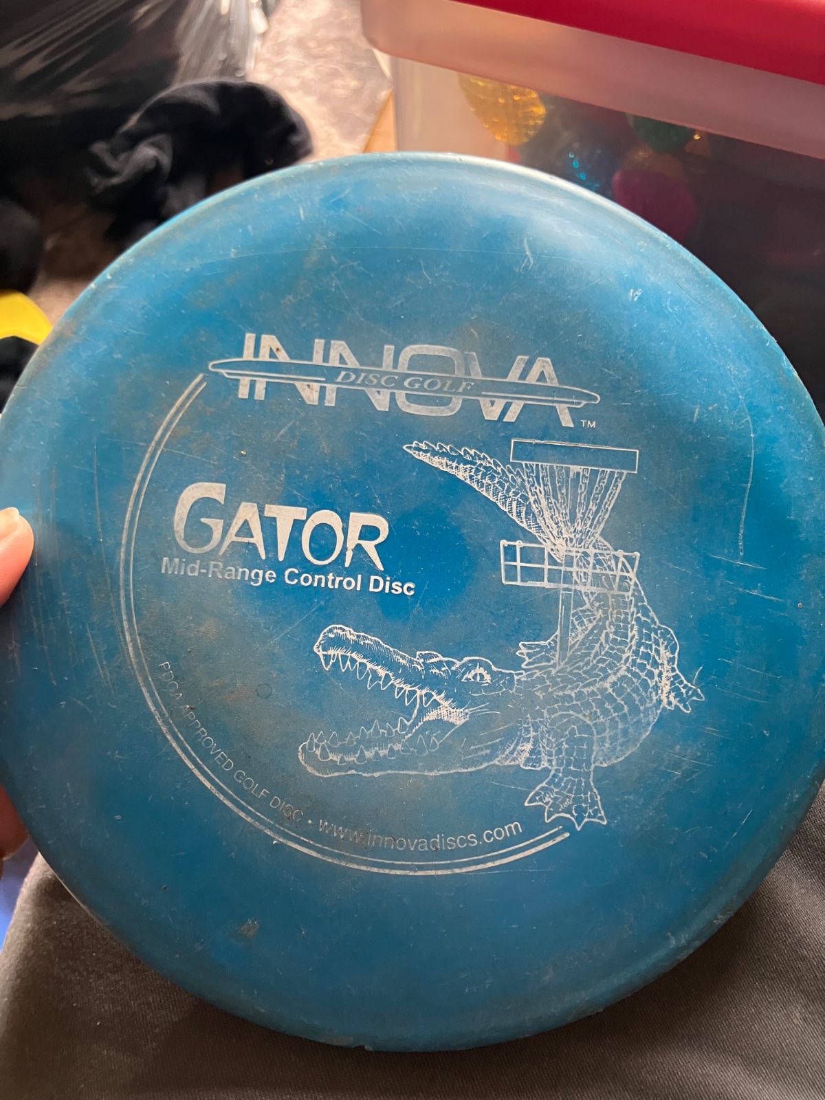 Gator