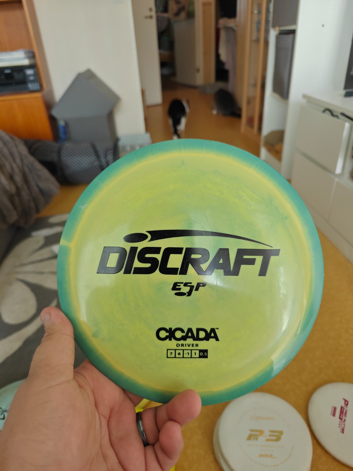 Cicada