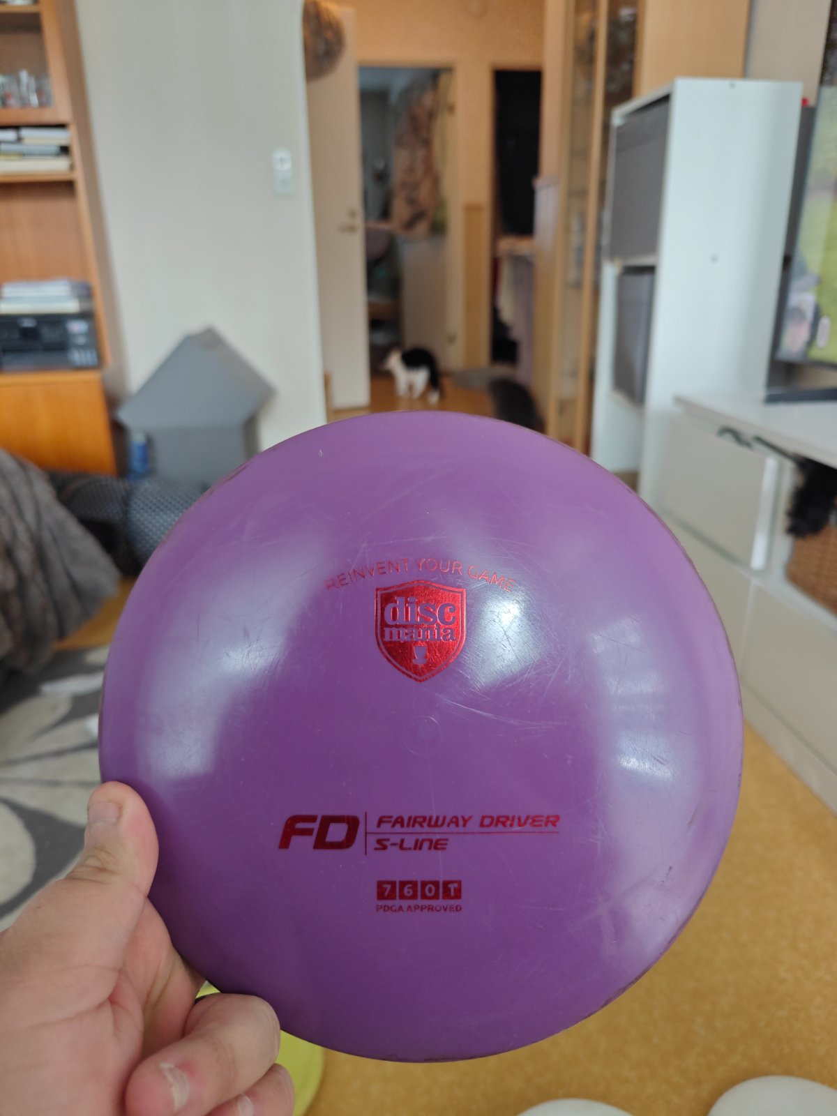 FD